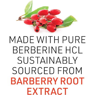 Берберин / WellBetX Berberine, Natural Factors, 500 мг, 120 вегетарианских капсул