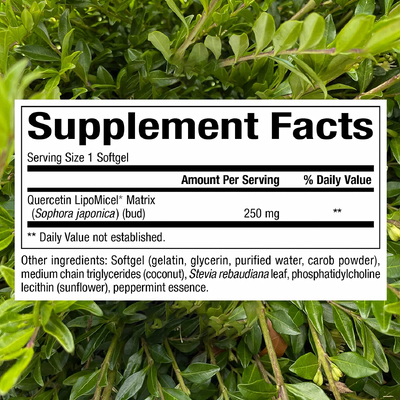 Кверцетин в мицеллярной форме / Quercetin LipoMicel Matrix, Natural Factors, 250 мг, 30 гелевых капсул