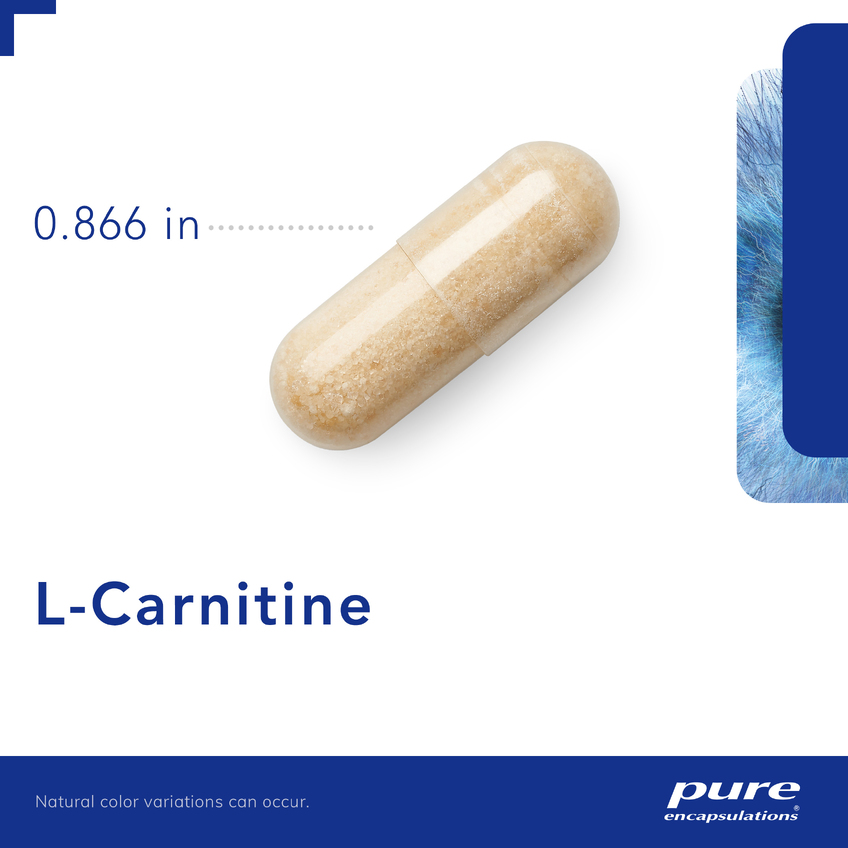 L-карнітин / l-Carnitine, Pure Encapsulations, 340 мг, 60 капсул