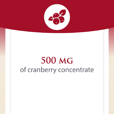 Суперконцентрат клюквы / Cranberry Concentrate, Natural Factors, 500 мг, 180 капсул