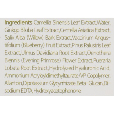 Освежающий тонер с экстрактом зеленого чая IsNtree Green Tea Fresh Toner