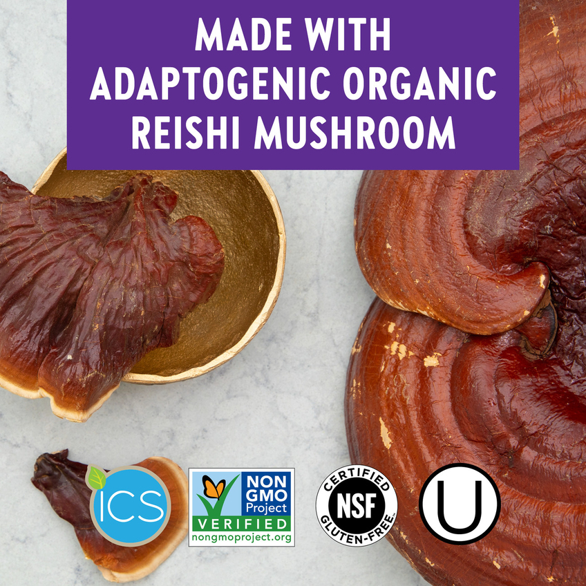 Гриби Рейші / LifeShield Reishi, New Chapter, 60 капсул