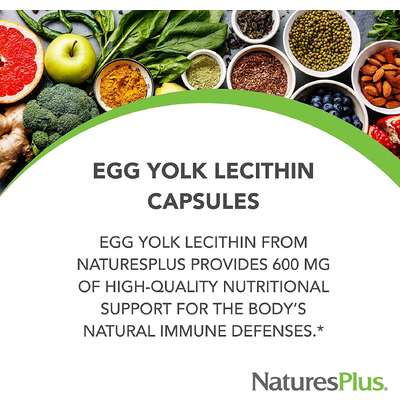 Лецитин із яєчних жовтків / Egg Yolk Lecithin, Nature's Plus, 600 мг, 90 капсул