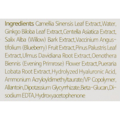 Освежающий тонер с экстрактом зеленого чая IsNtree Green Tea Fresh Toner