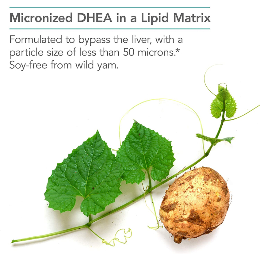 Дегідроепіандростерон / DHEA 25 Micronized Lipid Matrix, Nutricology, 25 мг, 60 капсул