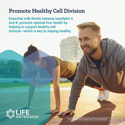 Улучшенная формула расторопши / European Milk Thistle, Life Extension, 60 гелевых капсул