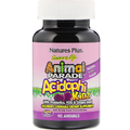 Пробіотики для дітей зі смаком вишні / Source of Life Animal Parade AcidophiKidz Children's Chewable Natural Berry, Nature's Plus, 90 жувальник таблеток