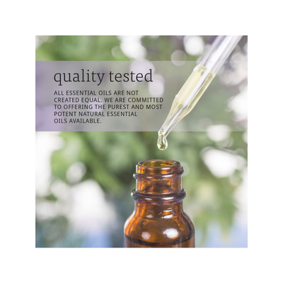 Ефірна олія зі смаком ванілі та жожоба Now Foods Essential Oils Vanilla In Jojoba