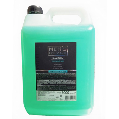 Шампунь освежающий для мужчин Profi Style Mens Style Refreshing Shampoo