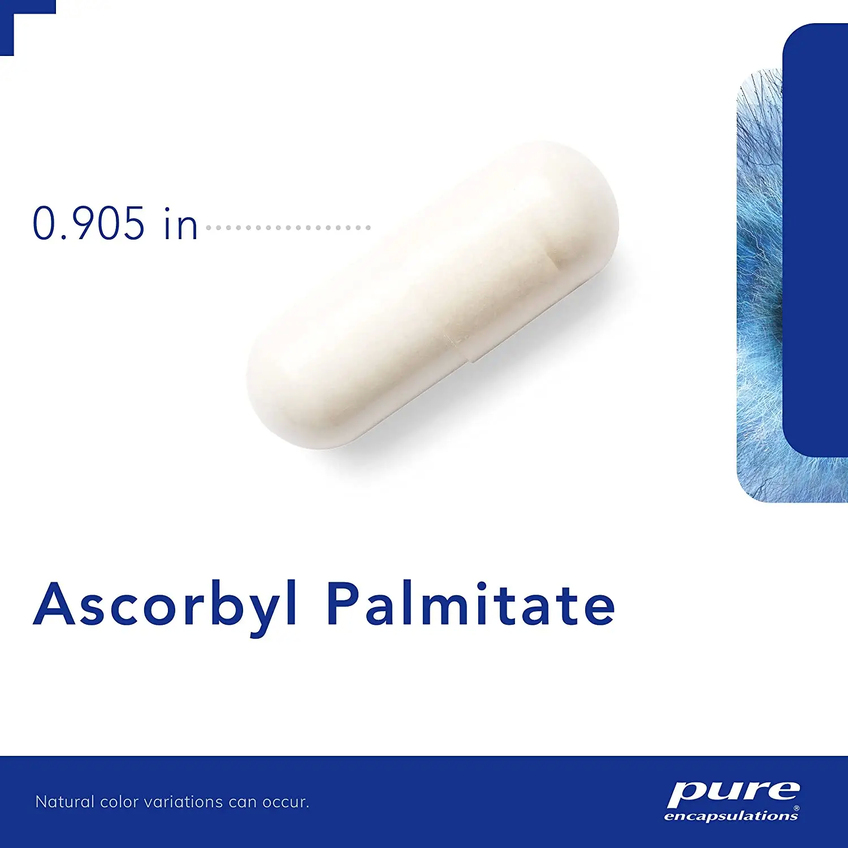 Аскорбилпальмитат / Ascorbyl Palmitate, Pure Encapsulations, 190 мг, 180 капсул