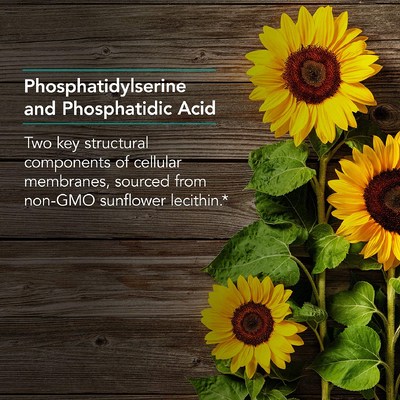 Фосфатидилсерин комплекс / PhosSerine Complex, Nutricology, 90 капсул