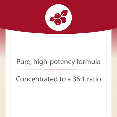 Суперконцентрат клюквы / Cranberry Concentrate, Natural Factors, 500 мг, 180 капсул