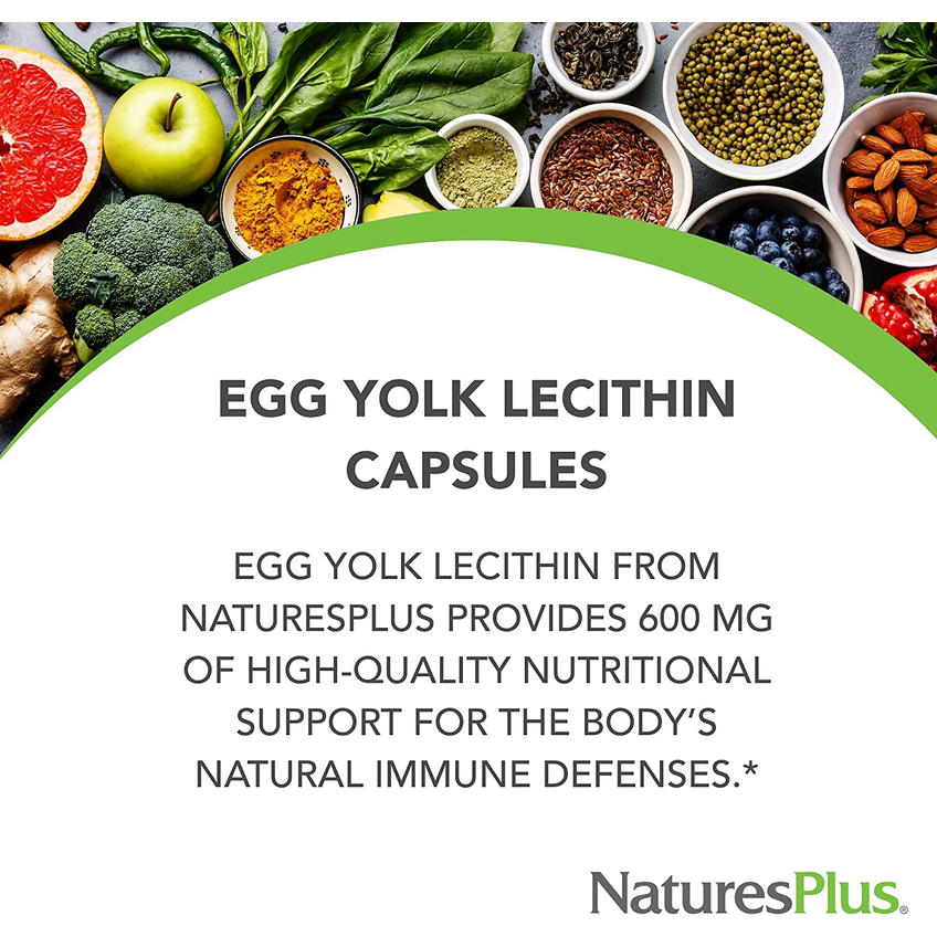 Лецитин із яєчних жовтків / Egg Yolk Lecithin, Nature's Plus, 600 мг, 90 капсул